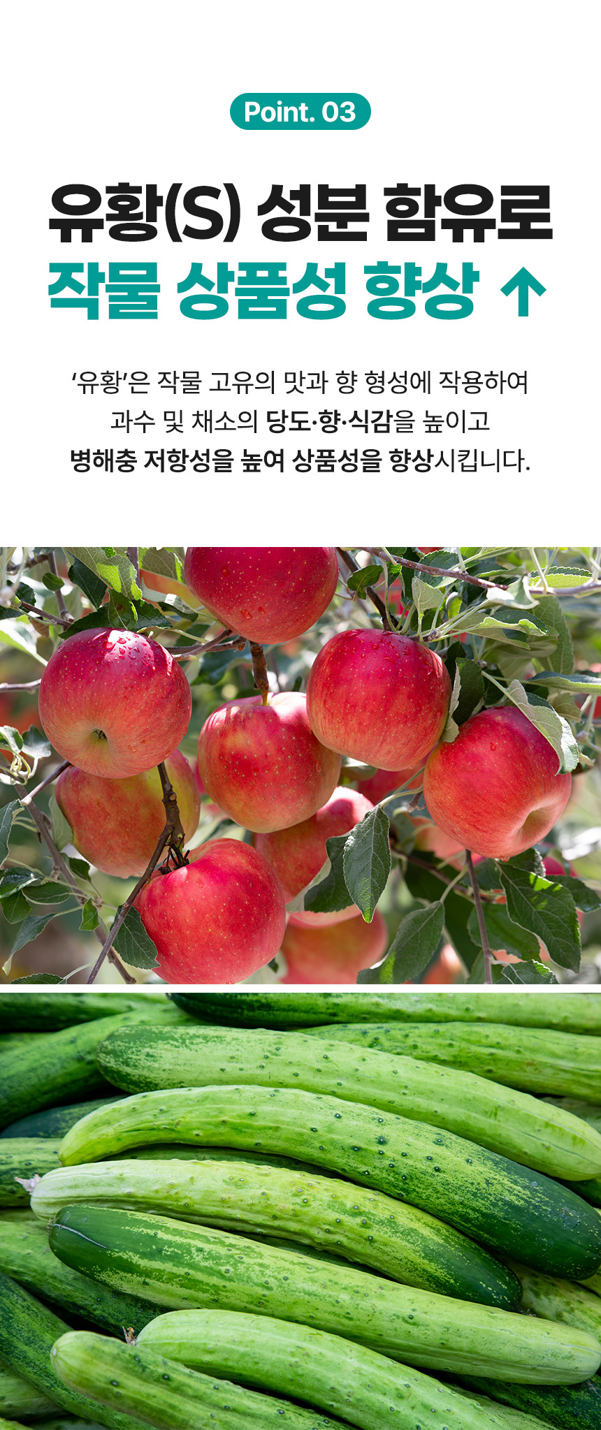그로우 황산마그네슘 20kg