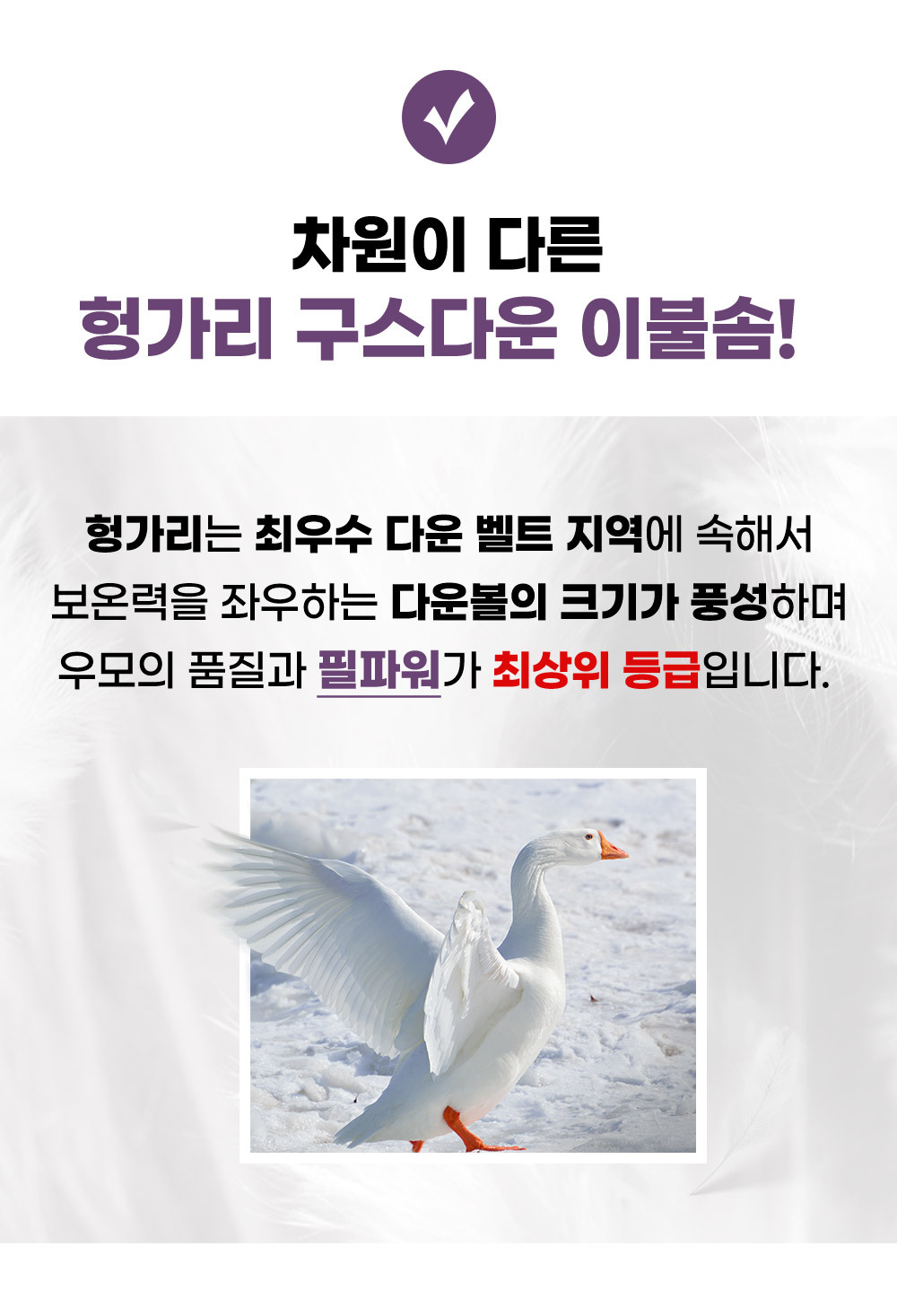 TimelessComfort_GooseDown_Bedding_04.jpg