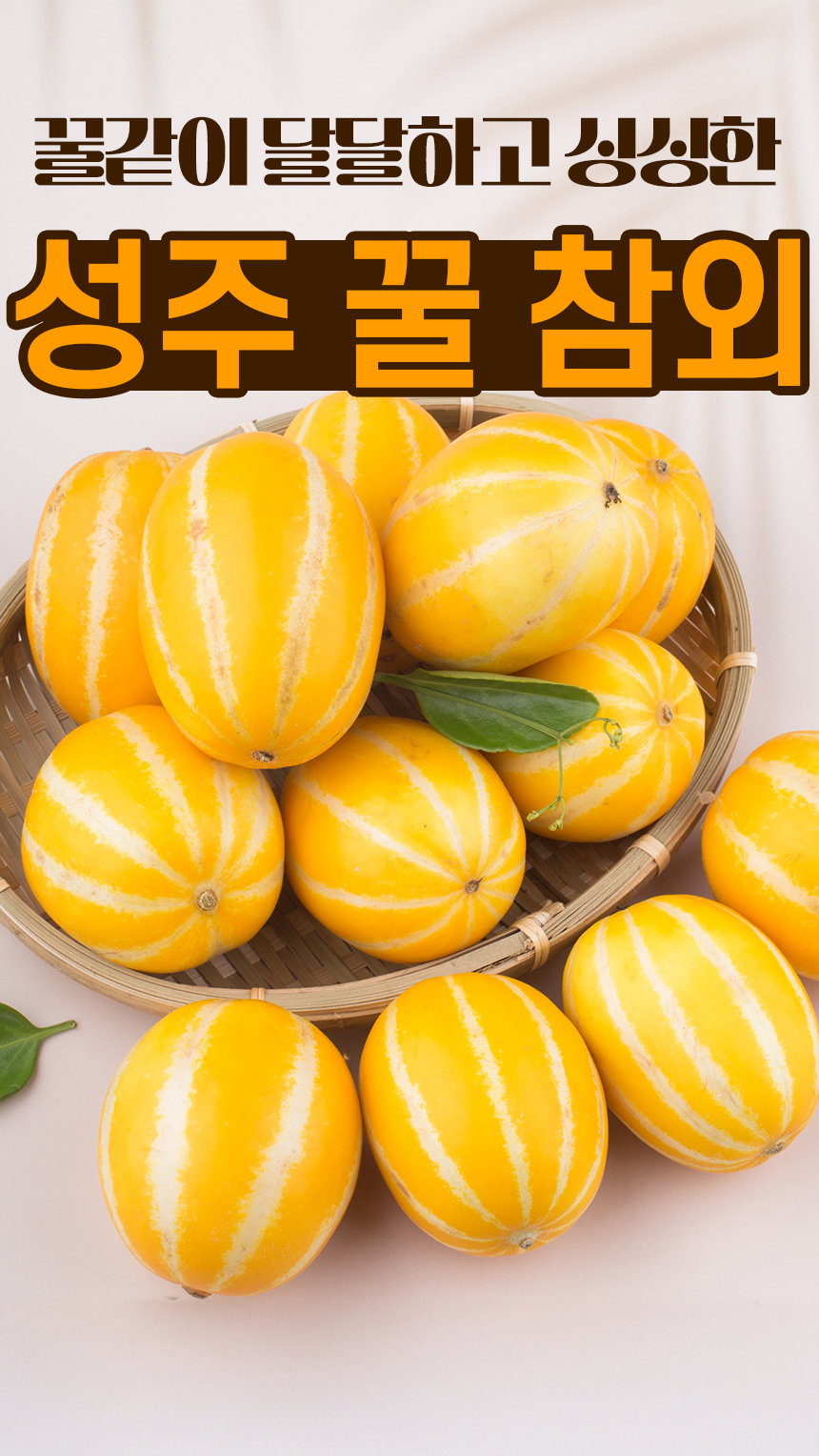 01_koreanmelon_intro.jpg