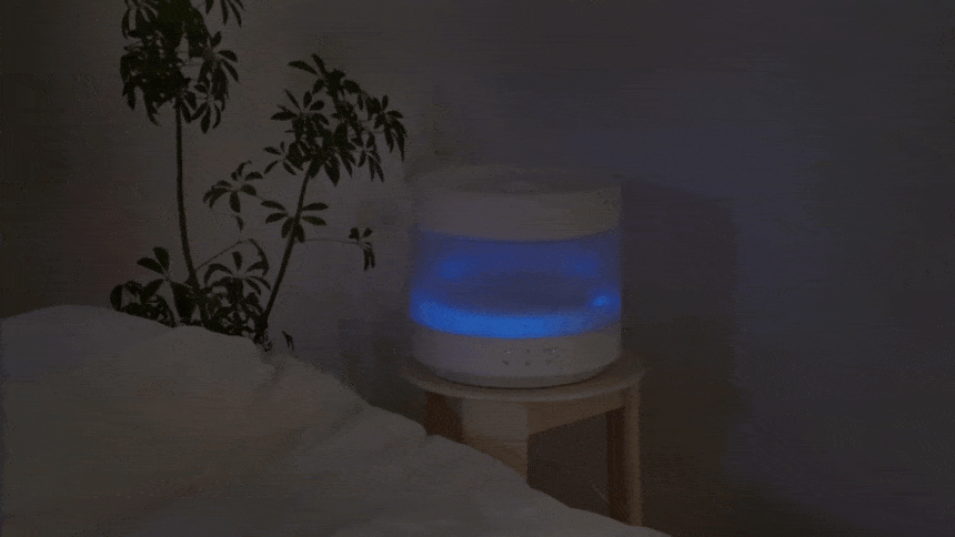point-03~04_13-.gif