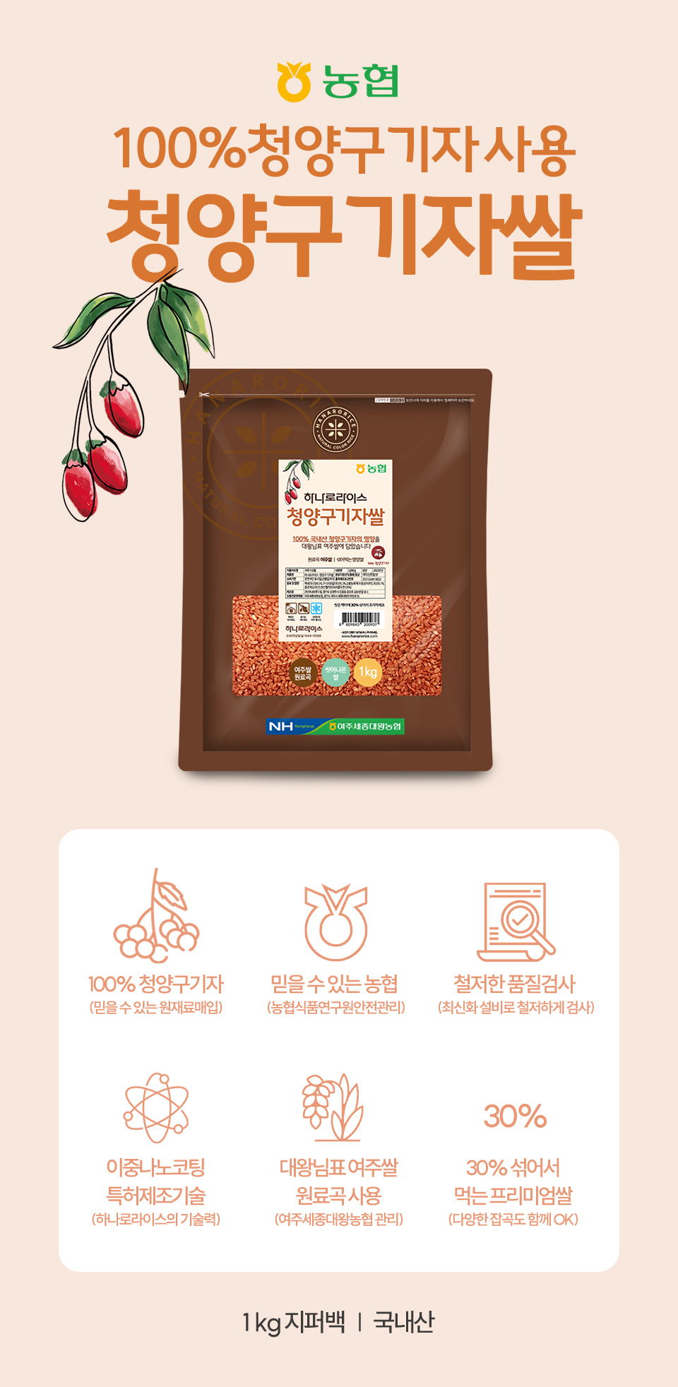 청양구기자