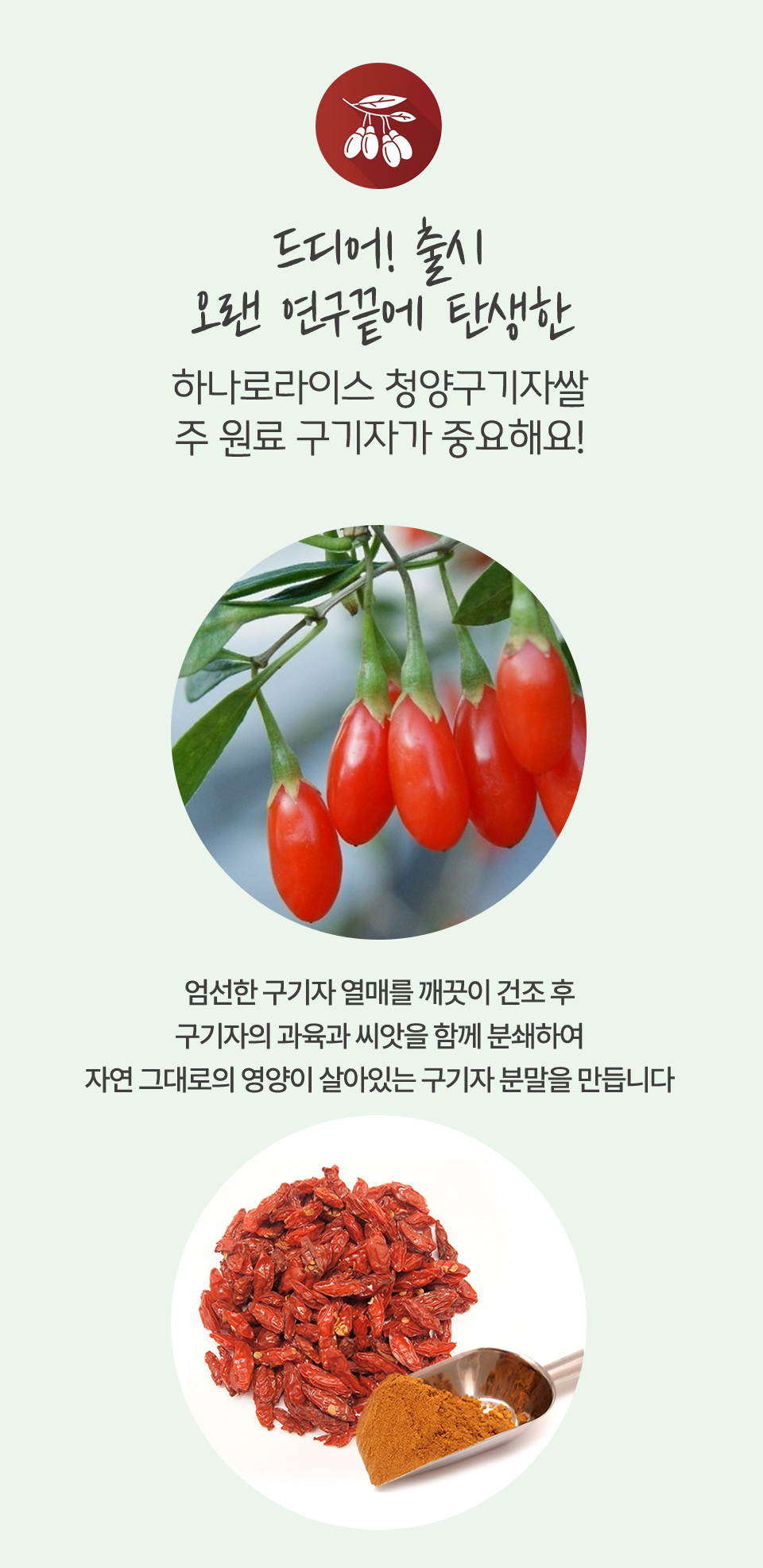 청양구기자