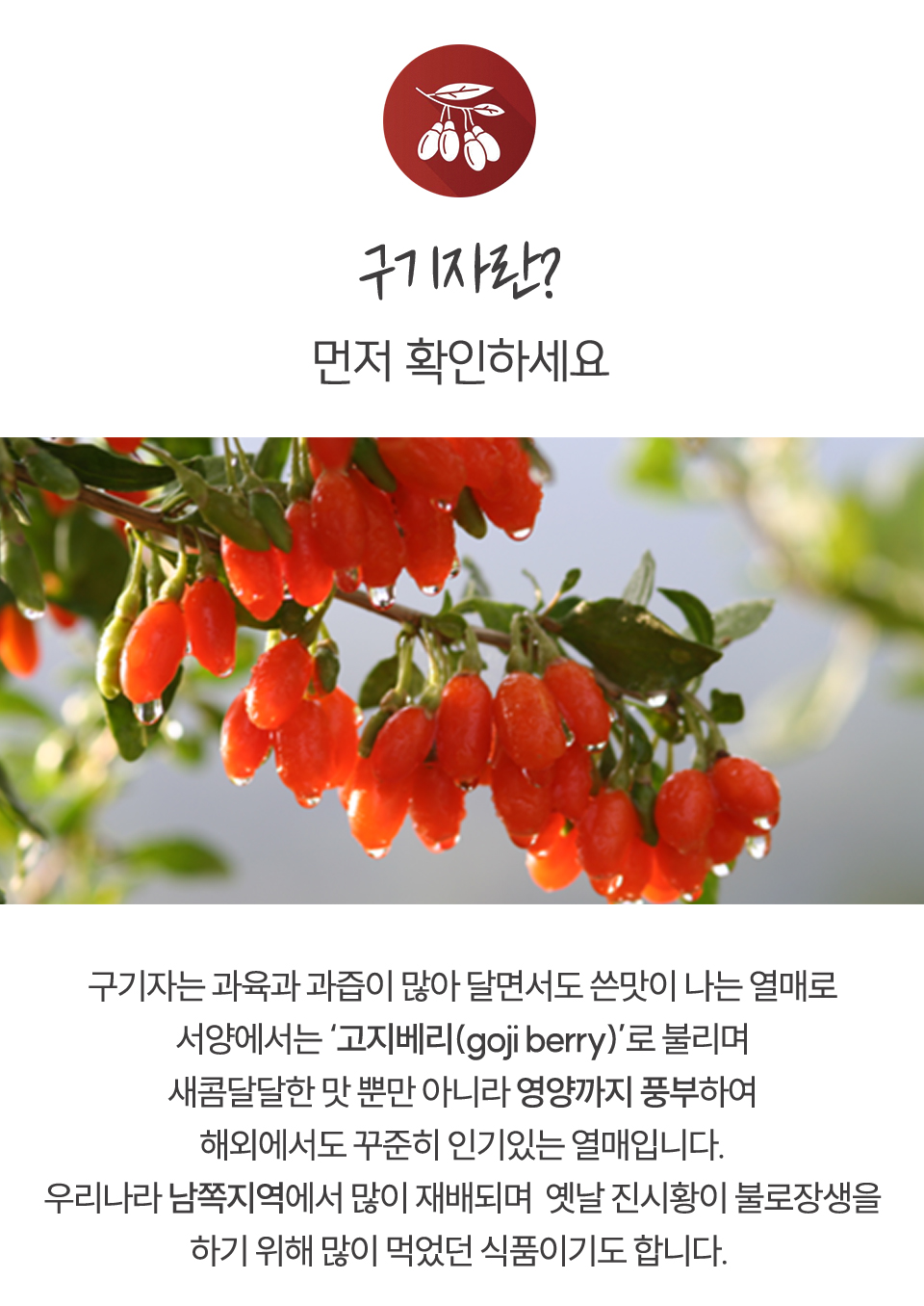 청양구기자