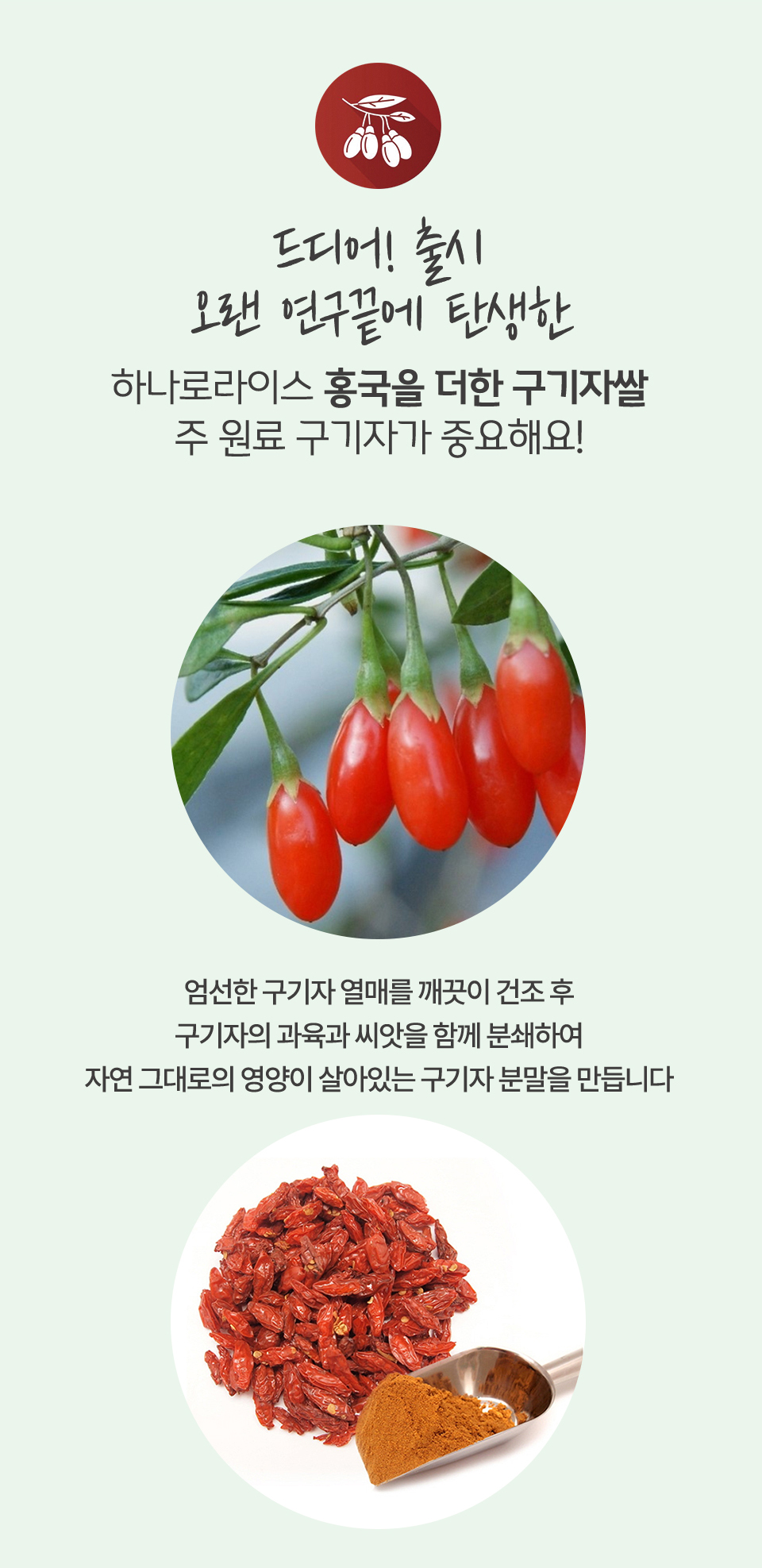 홍국구기자