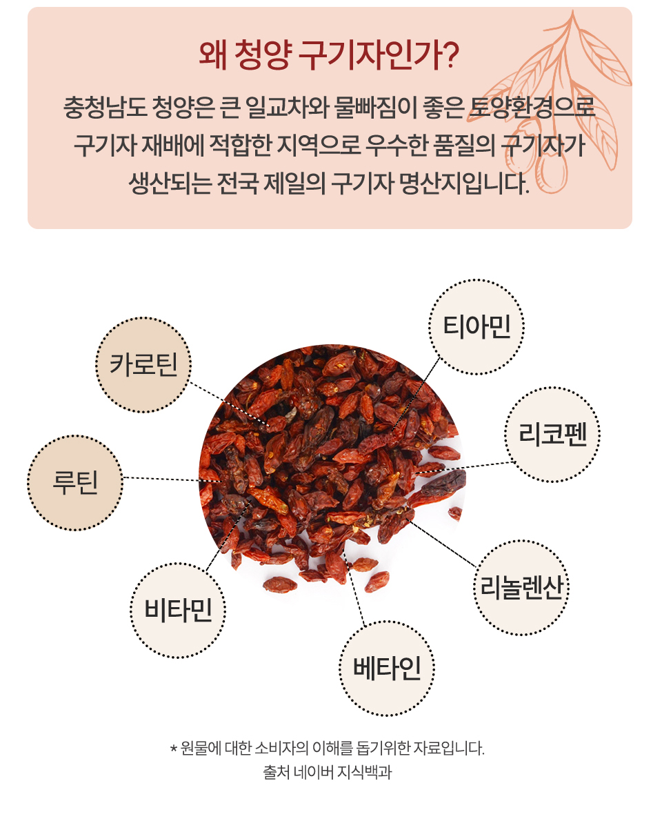 왜청양구기자인가