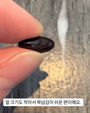 루테인지아잔틴_gifcut