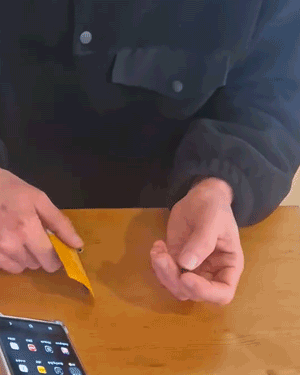 루테인지아잔틴_gifcut