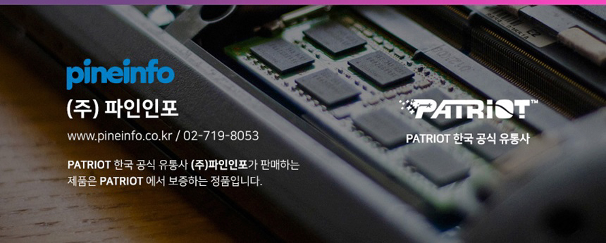 PATRIOT 패트리어트 P410 2TB M.2 NVMe SSD (GEN4 / QLC / 5년)