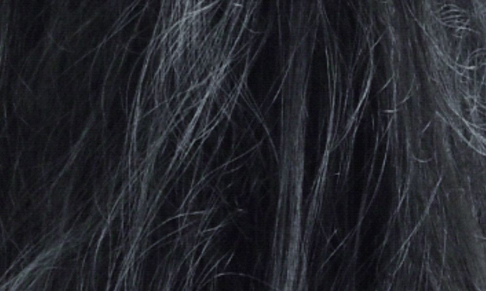 250514_021.gif