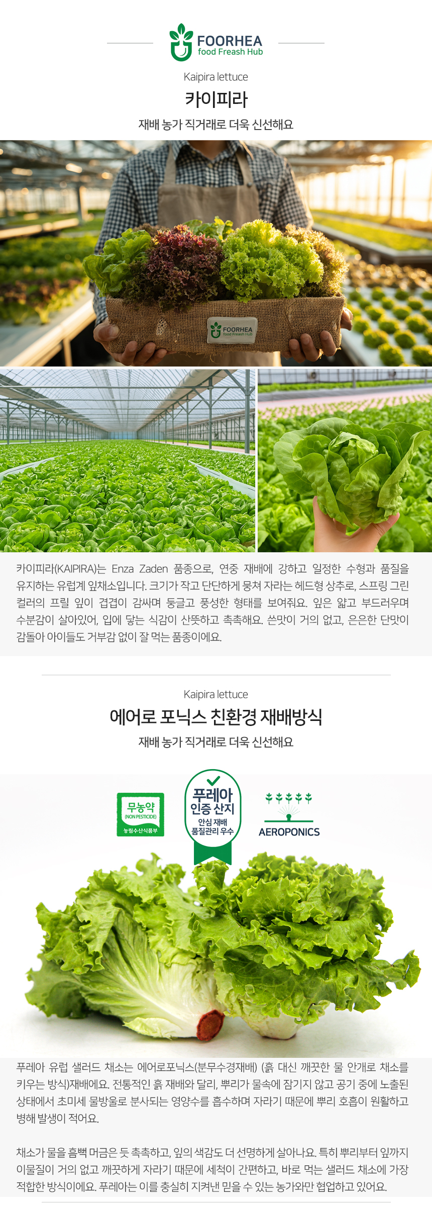 친환경 무농약 샐러드야채 카이피라 상추 반박스1.5kg 유러피안샐러드 쌈채소 - G마켓 모바일