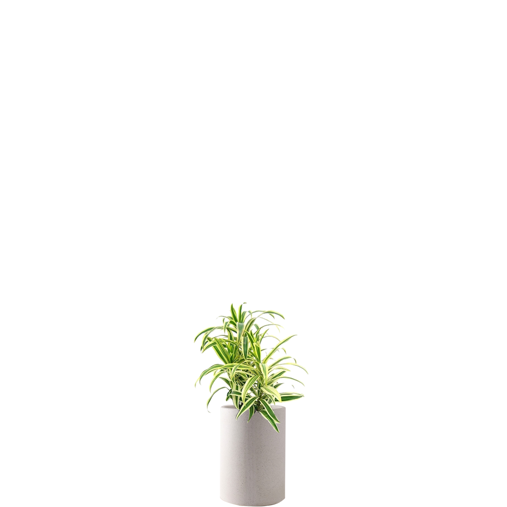 송오브인디아