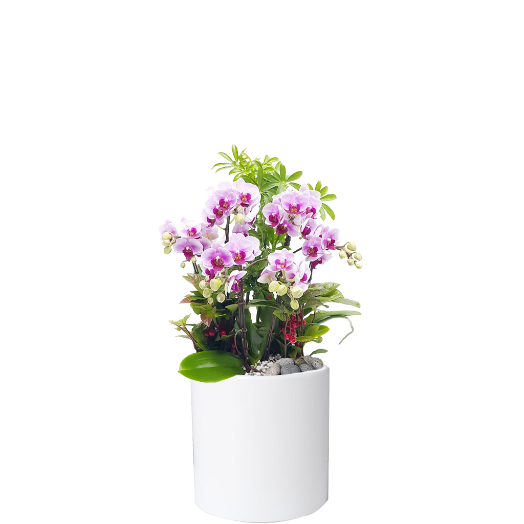 리틀잼인테리어