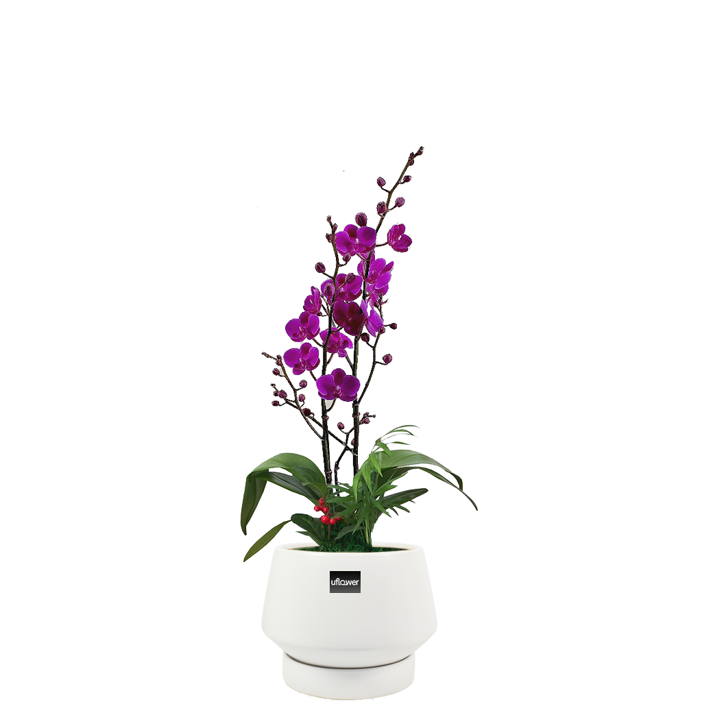 만천홍테이블대품