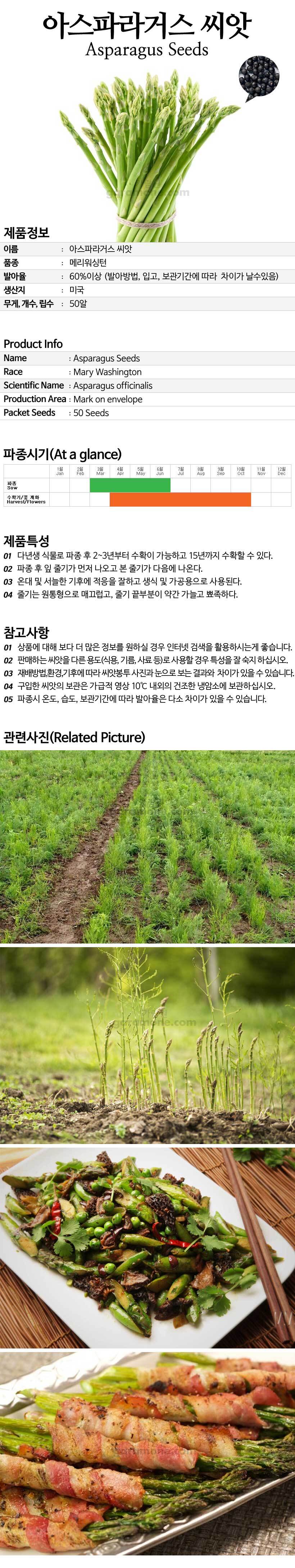 asparagus_01_02.jpg