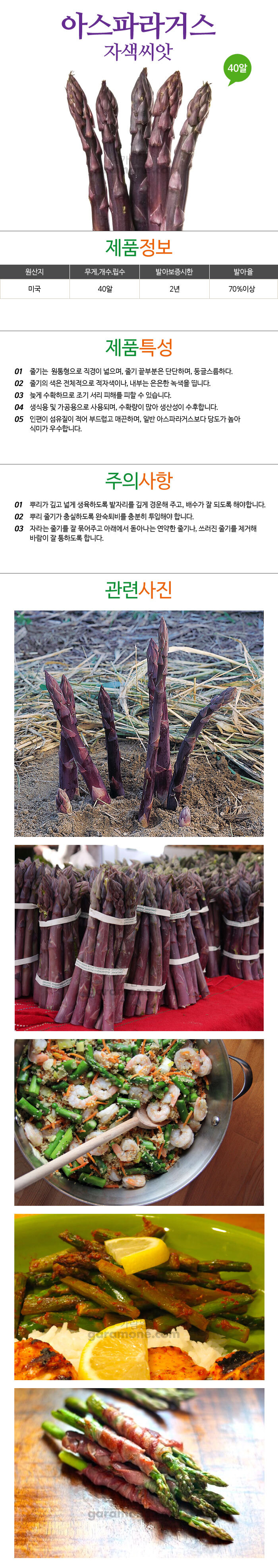 asparagus_02_02.jpg