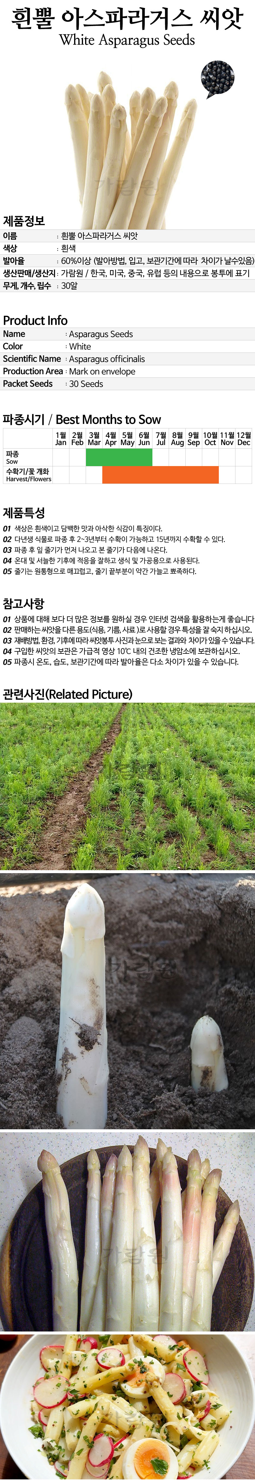 asparagus_03_02.jpg