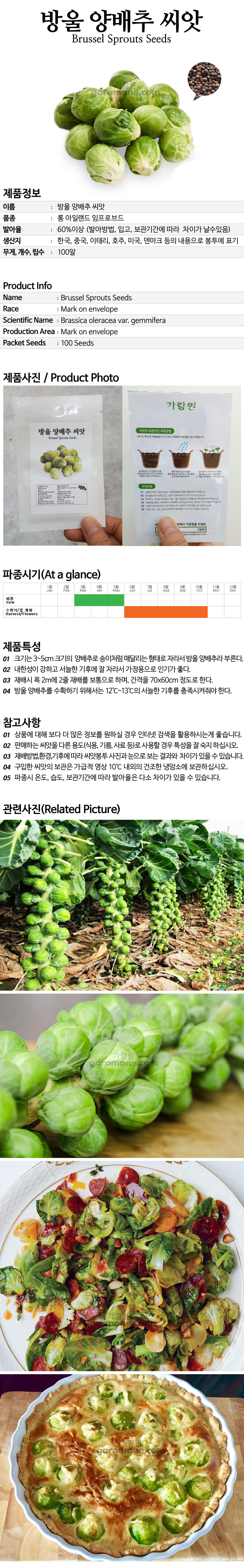 brussels_sprout_01_02.jpg