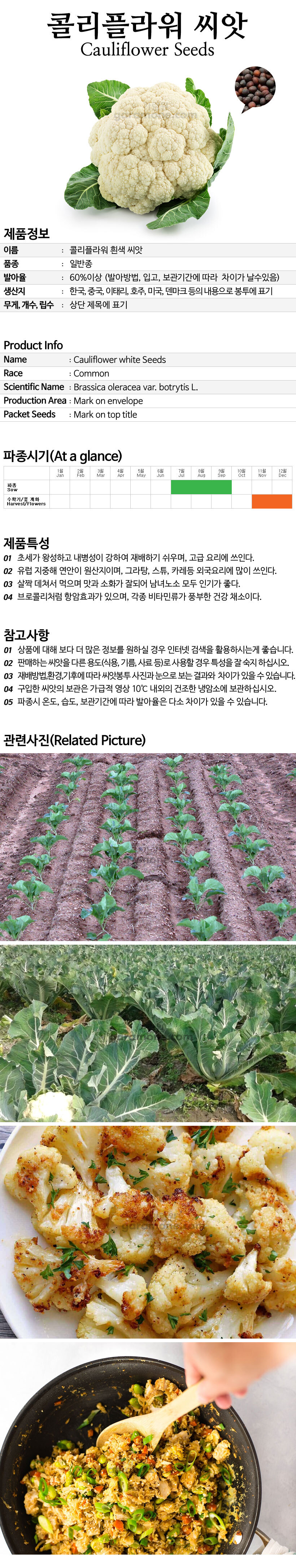 cauliflower_01_02.jpg