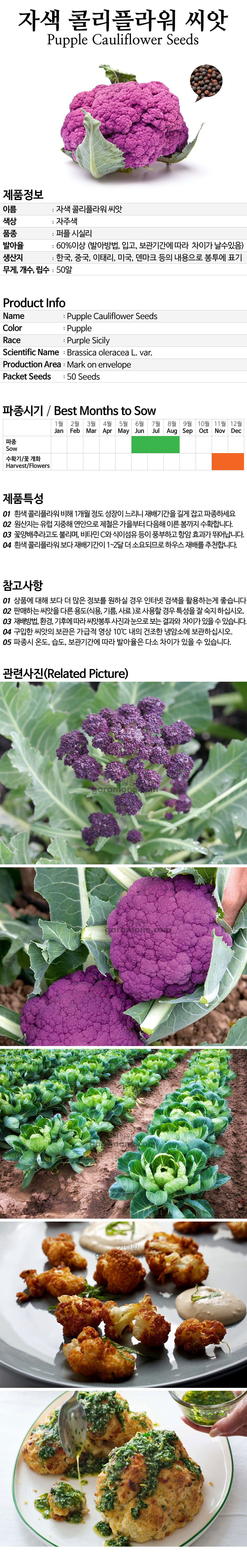cauliflower_02_02.jpg
