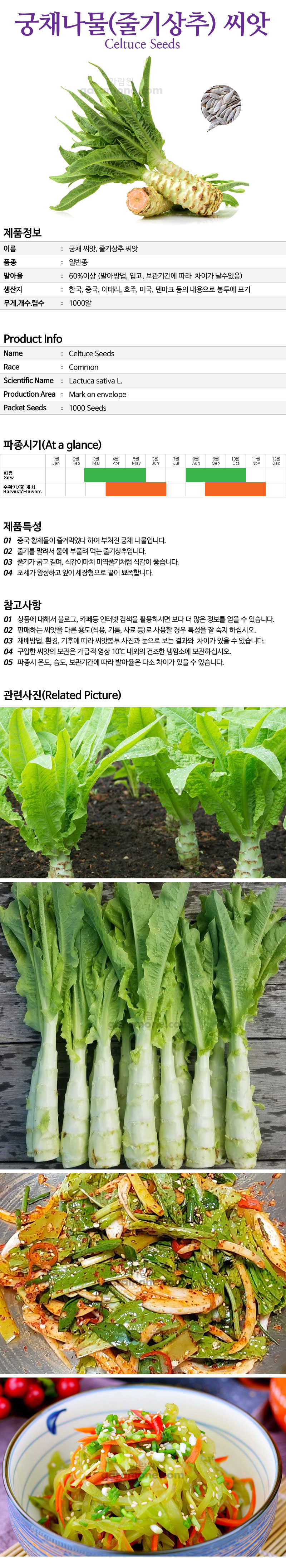 celtuce_01_02.jpg