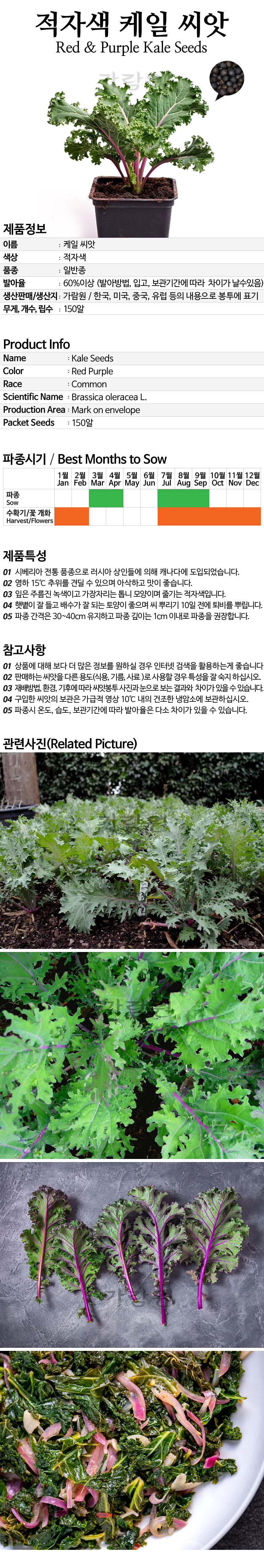 kale_02_02.jpg