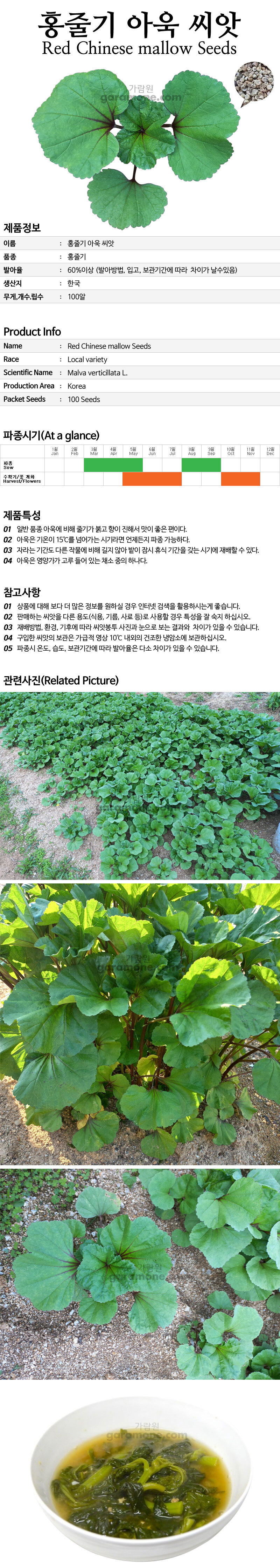 mallow_02_02.jpg