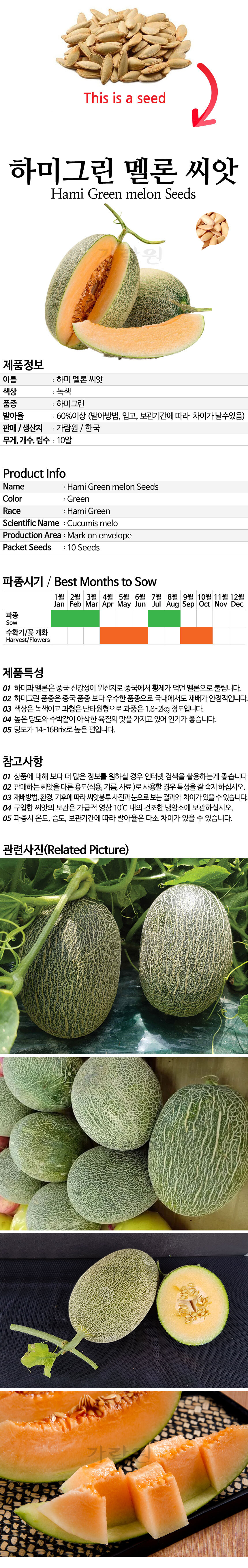 melon_04_02.jpg