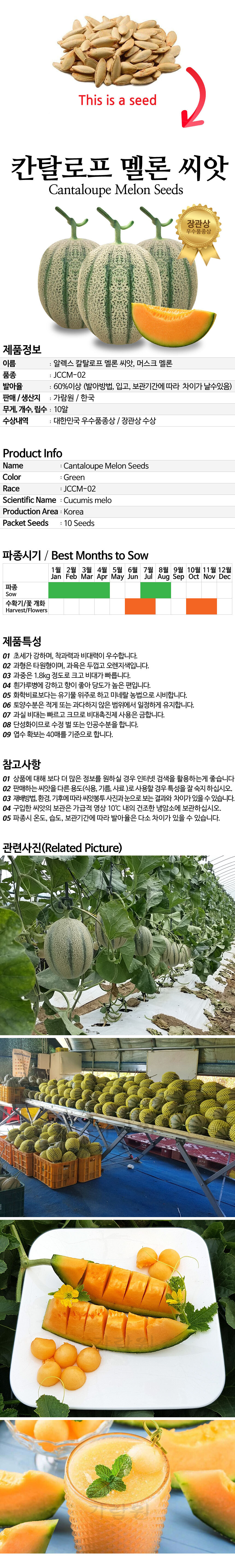 melon_05_02.jpg