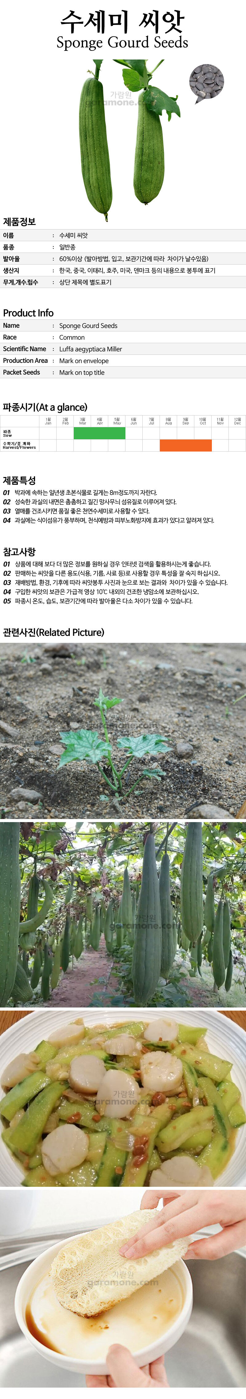 pumpkin_04_02.jpg