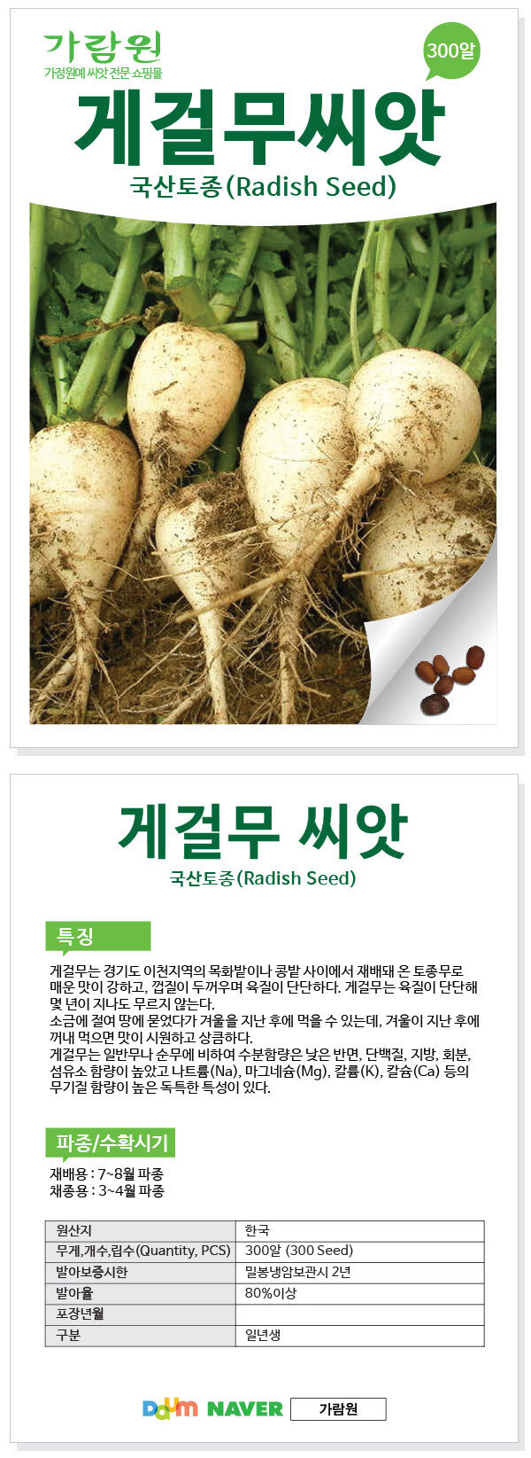 radish_16_02.jpg