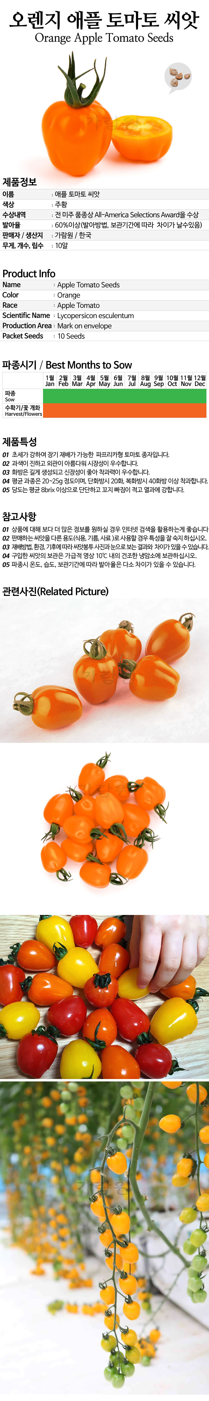 tomato_09_02.jpg
