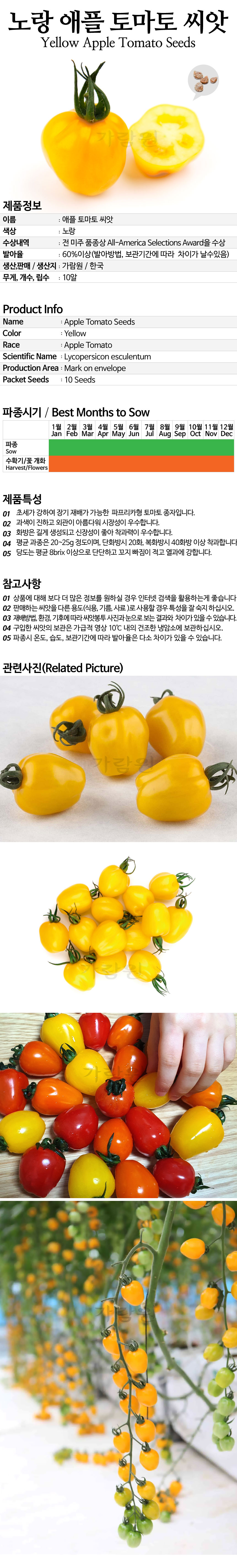 tomato_10_02.jpg