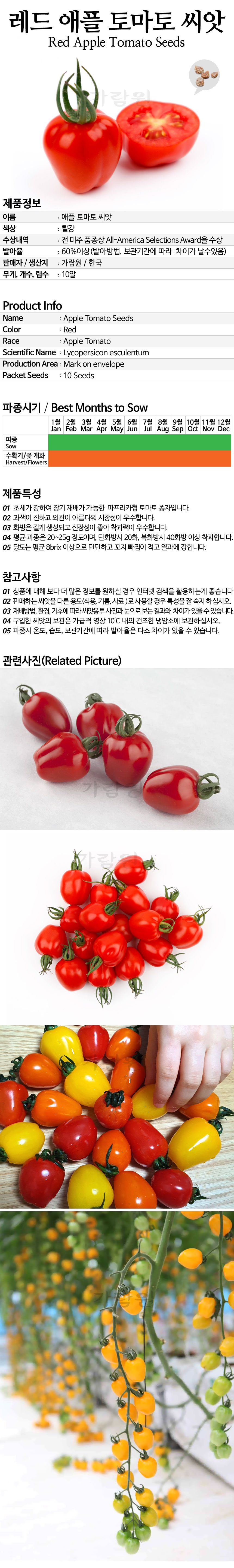 tomato_11_02.jpg