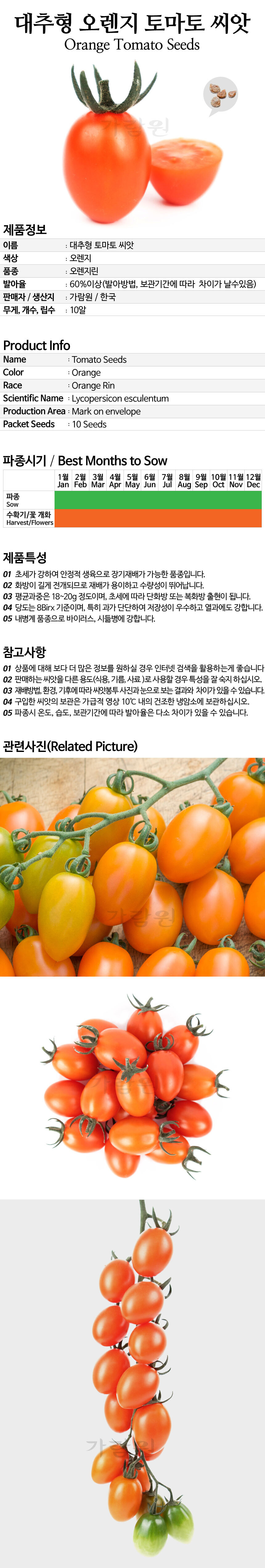 tomato_12_02.jpg