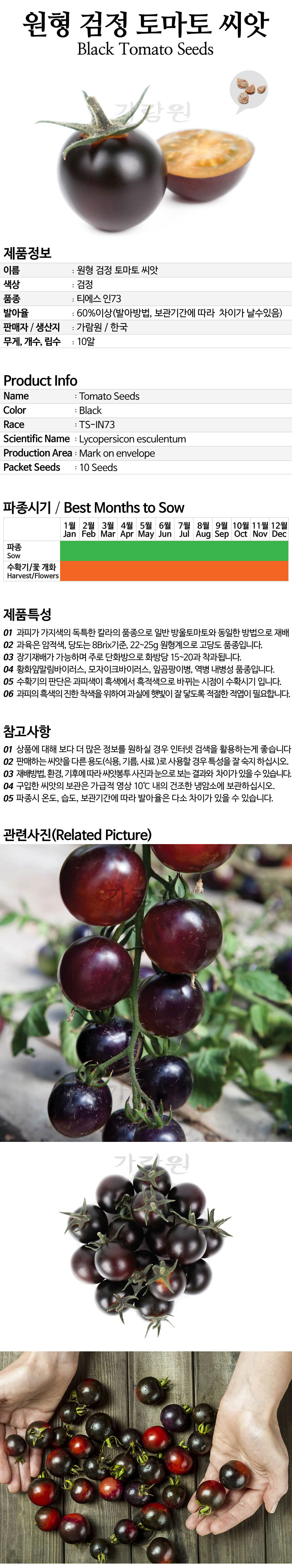 tomato_16_02.jpg