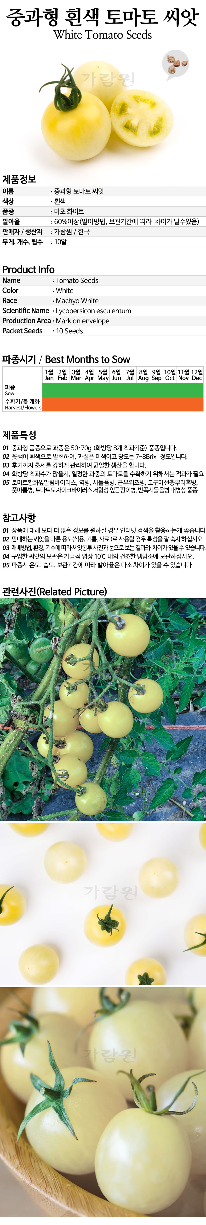 tomato_17_02.jpg