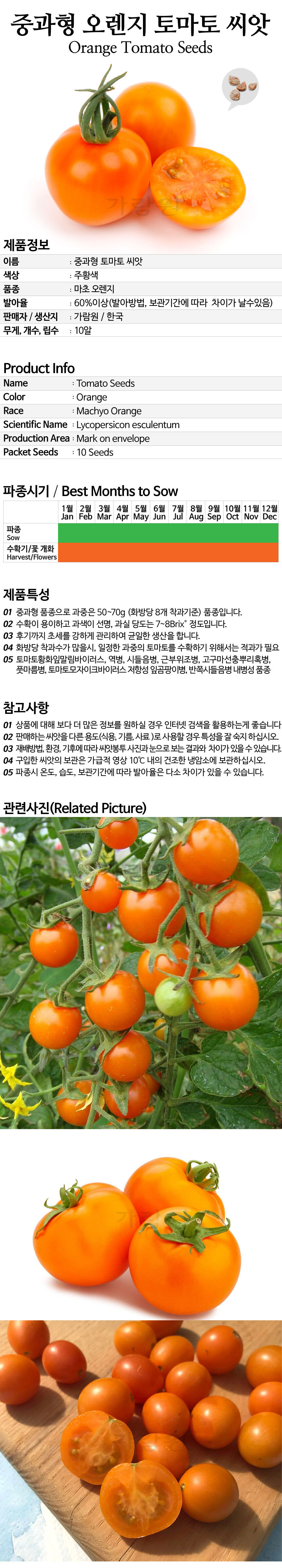 tomato_18_02.jpg