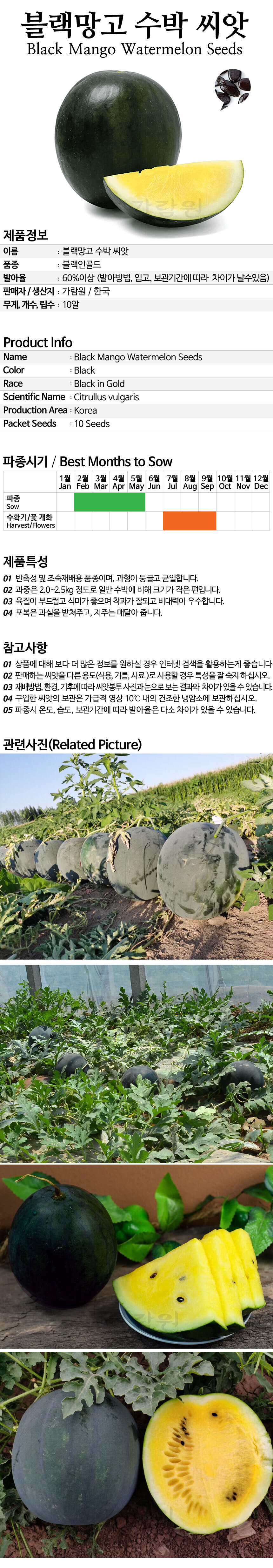 watermelon_10_02.jpg