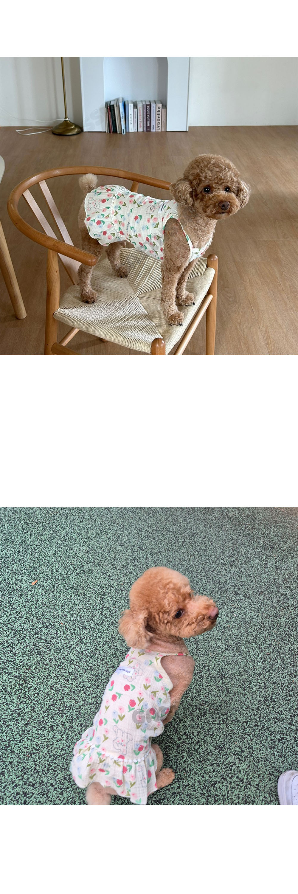 %EC%83%81%EC%84%B84.jpg