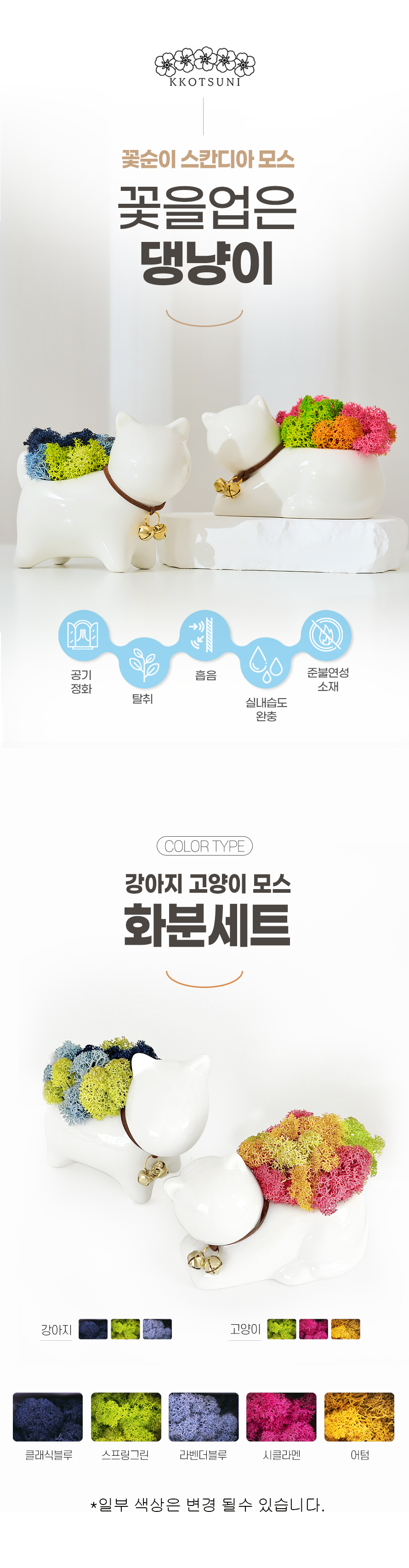 꽃순이 스칸디아모스 공기정화 인테리어 화분 고양이 강아지 댕냥이 상세 이미지 1
