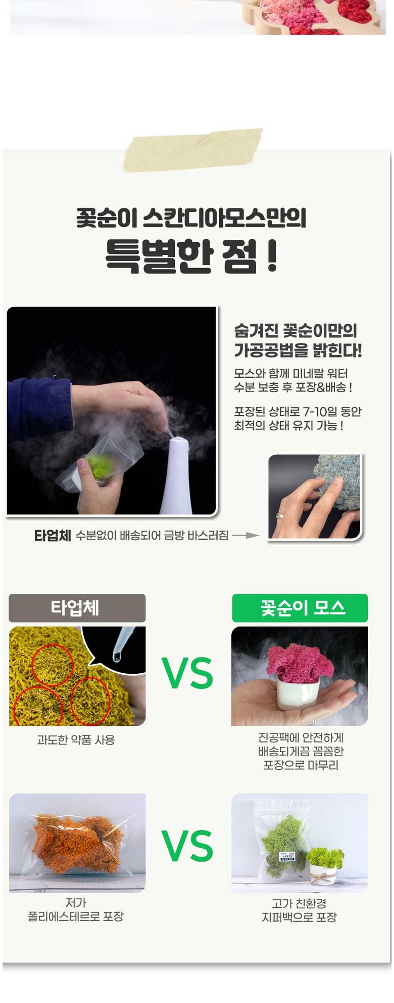 스칸디아모스 공기정화 편백 시나몬 화분 집들이 선물 항아리 4P 상세 이미지 11