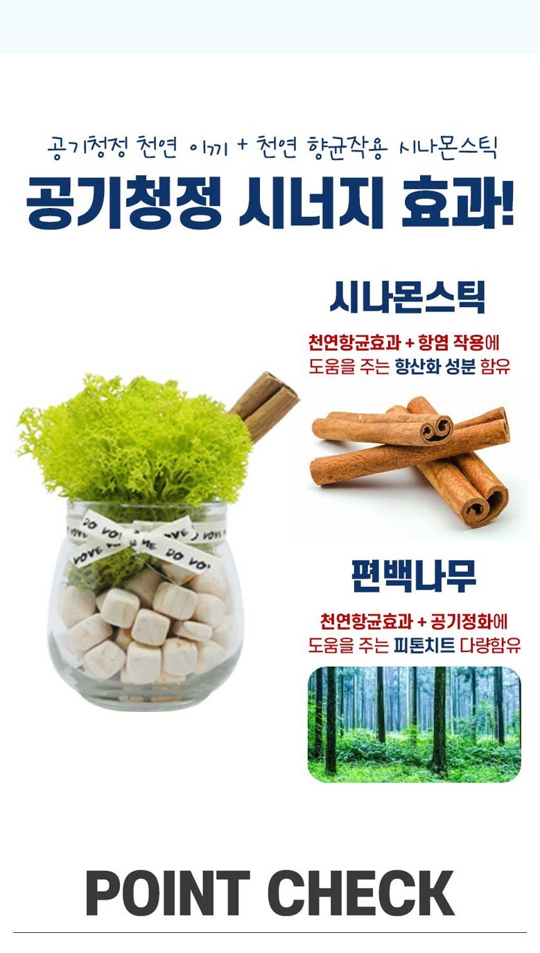 스칸디아모스 공기정화 편백 시나몬 화분 집들이 선물 항아리 4P 상세 이미지 2