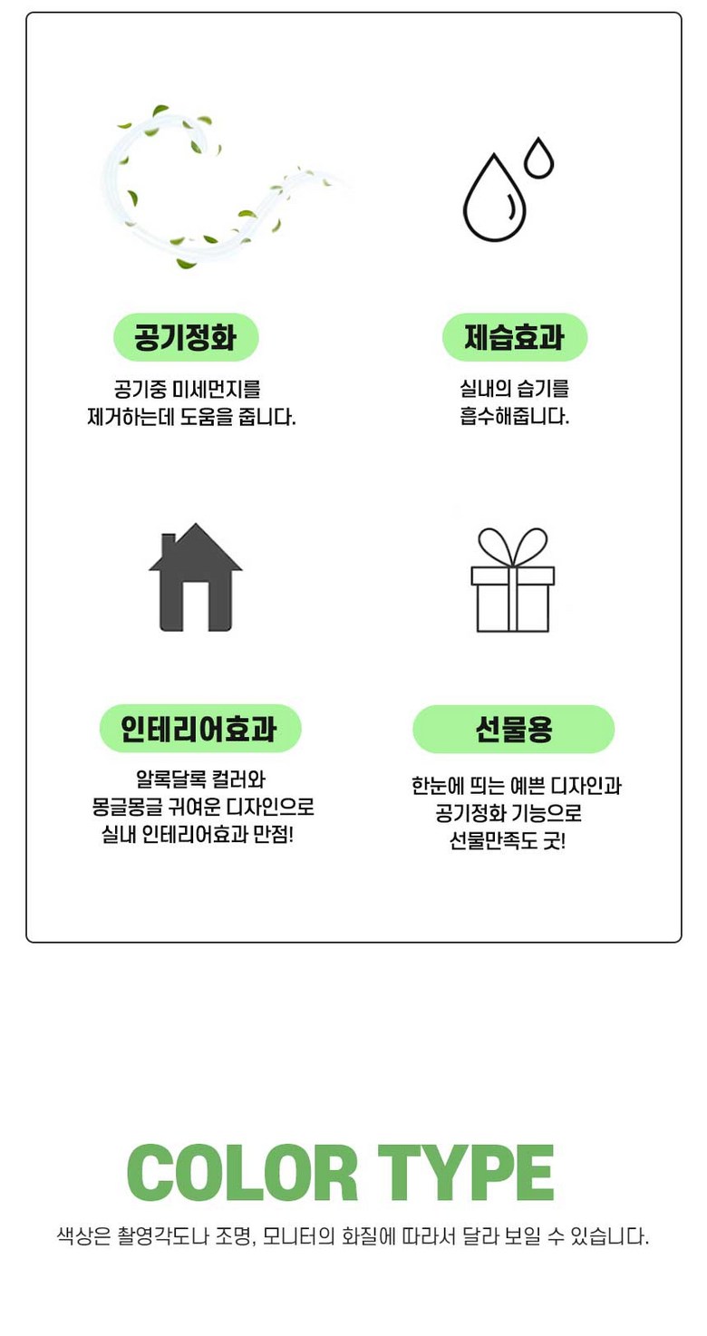 스칸디아모스 공기정화 편백 시나몬 화분 집들이 선물 항아리 4P 상세 이미지 4