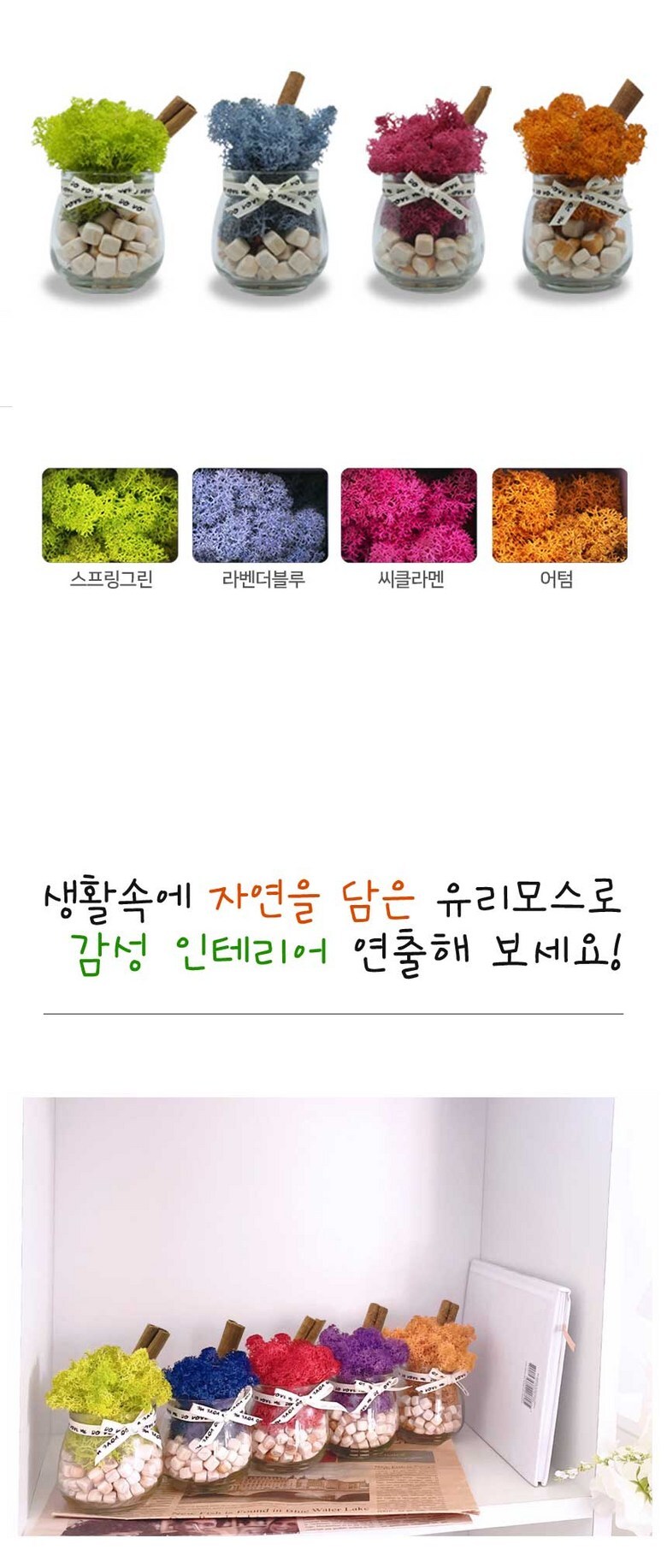 스칸디아모스 공기정화 편백 시나몬 화분 집들이 선물 항아리 4P 상세 이미지 5