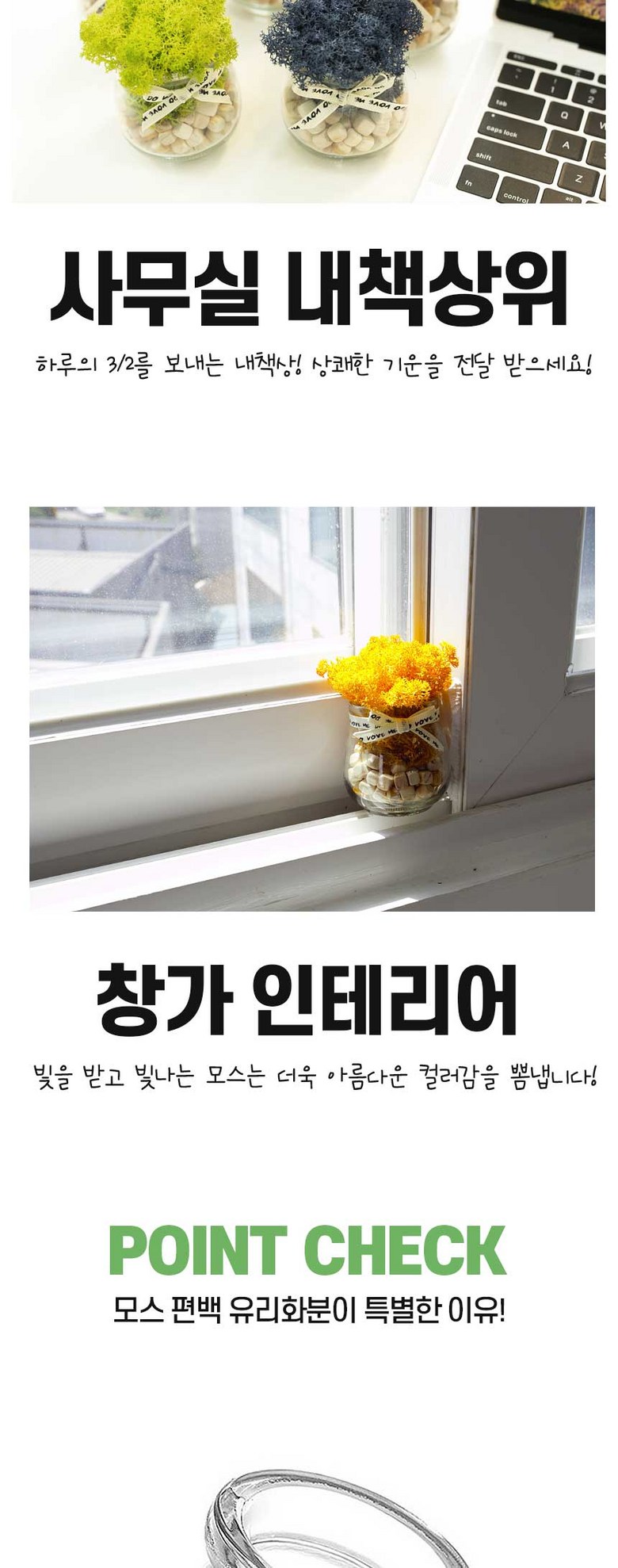 스칸디아모스 공기정화 편백 시나몬 화분 집들이 선물 항아리 4P 상세 이미지 7