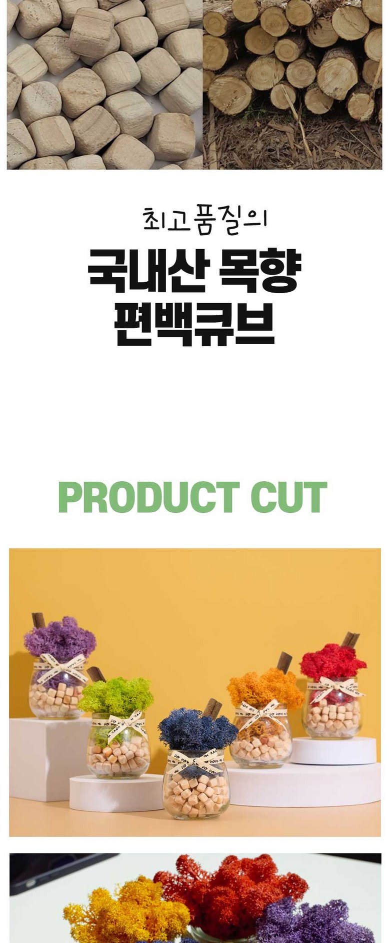 스칸디아모스 공기정화 편백 시나몬 화분 집들이 선물 항아리 4P 상세 이미지 9