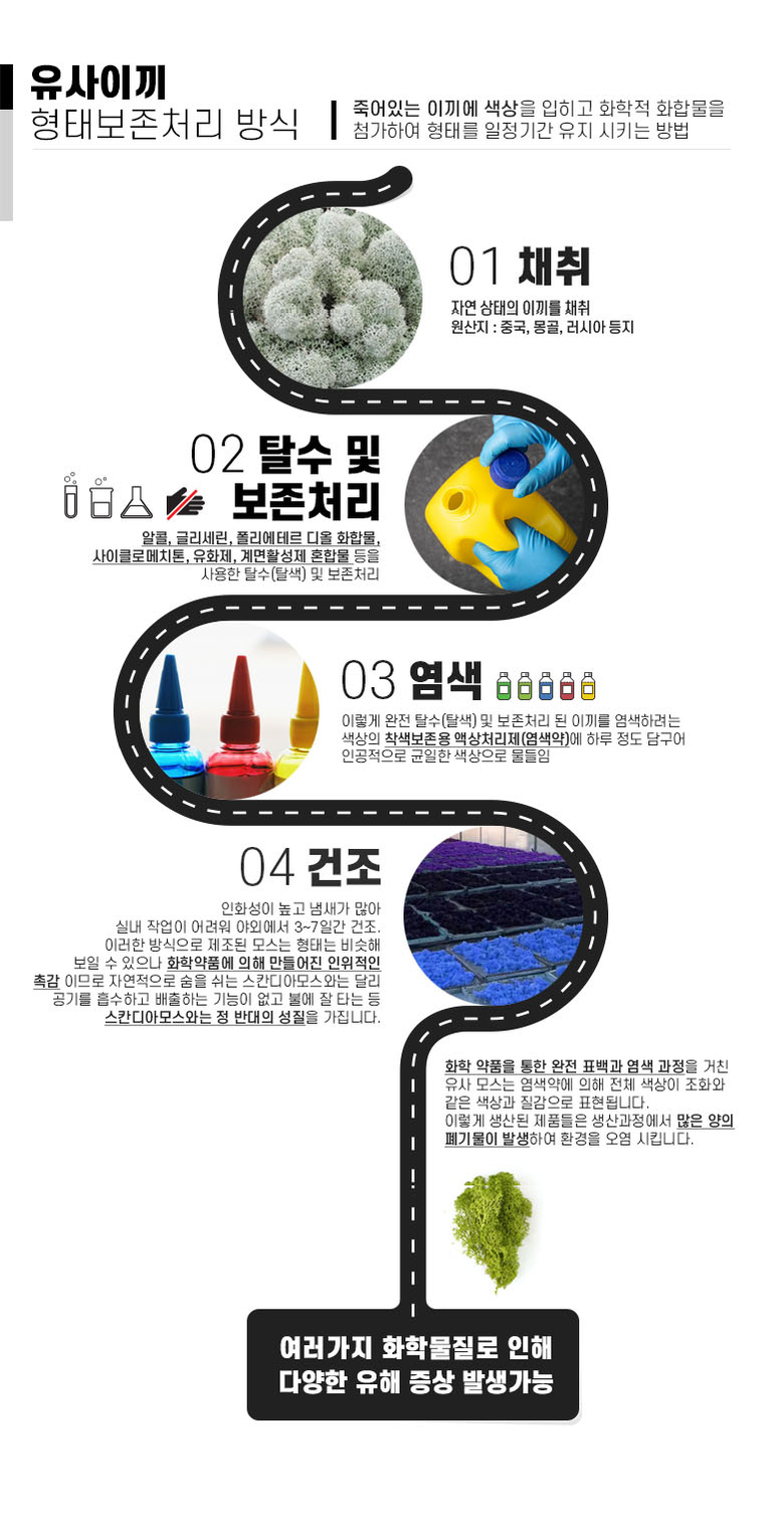 공기정화 음지식물 인리어러 이끼 화분 스칸디아모스 5색 상세 이미지 10