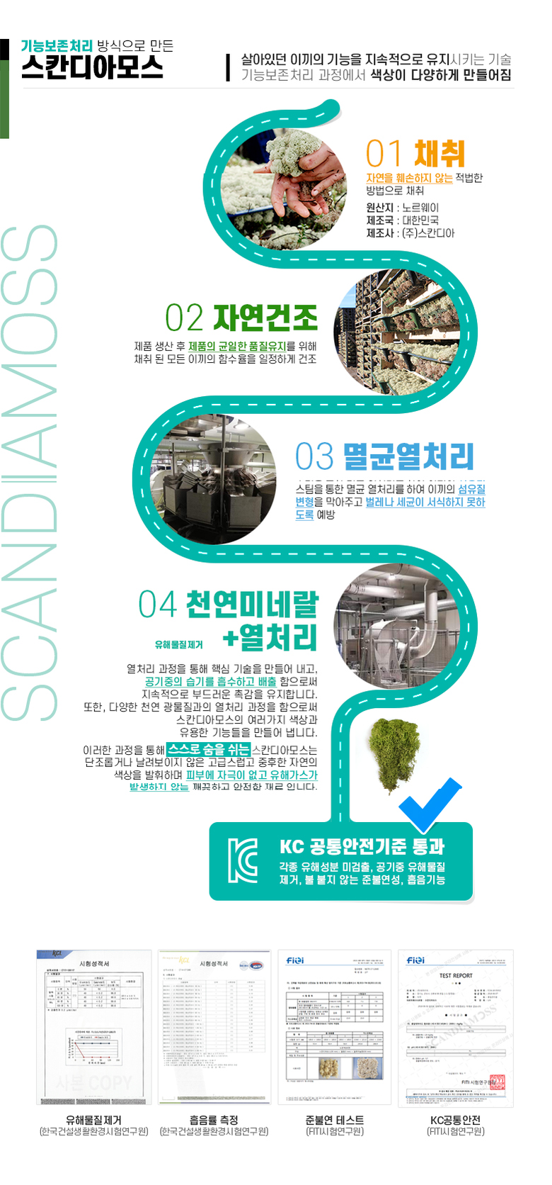 공기정화 음지식물 인리어러 이끼 화분 스칸디아모스 5색 상세 이미지 11