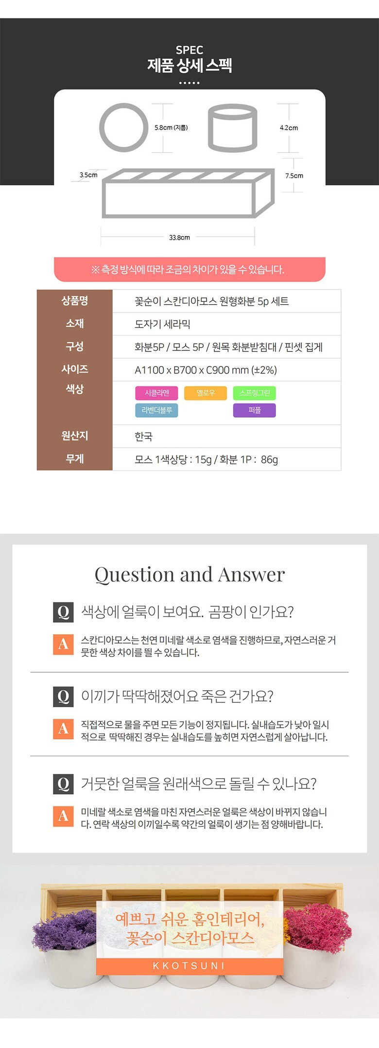 공기정화 음지식물 인리어러 이끼 화분 스칸디아모스 5색 상세 이미지 12