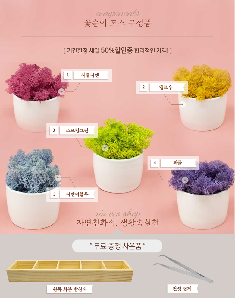 공기정화 음지식물 인리어러 이끼 화분 스칸디아모스 5색 상세 이미지 13